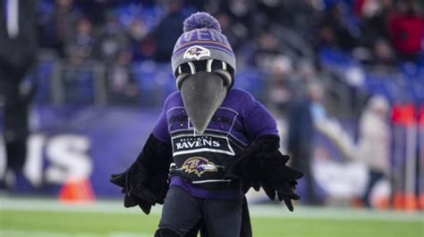Watch out! Ravens mascot's unexpected tumble during filming